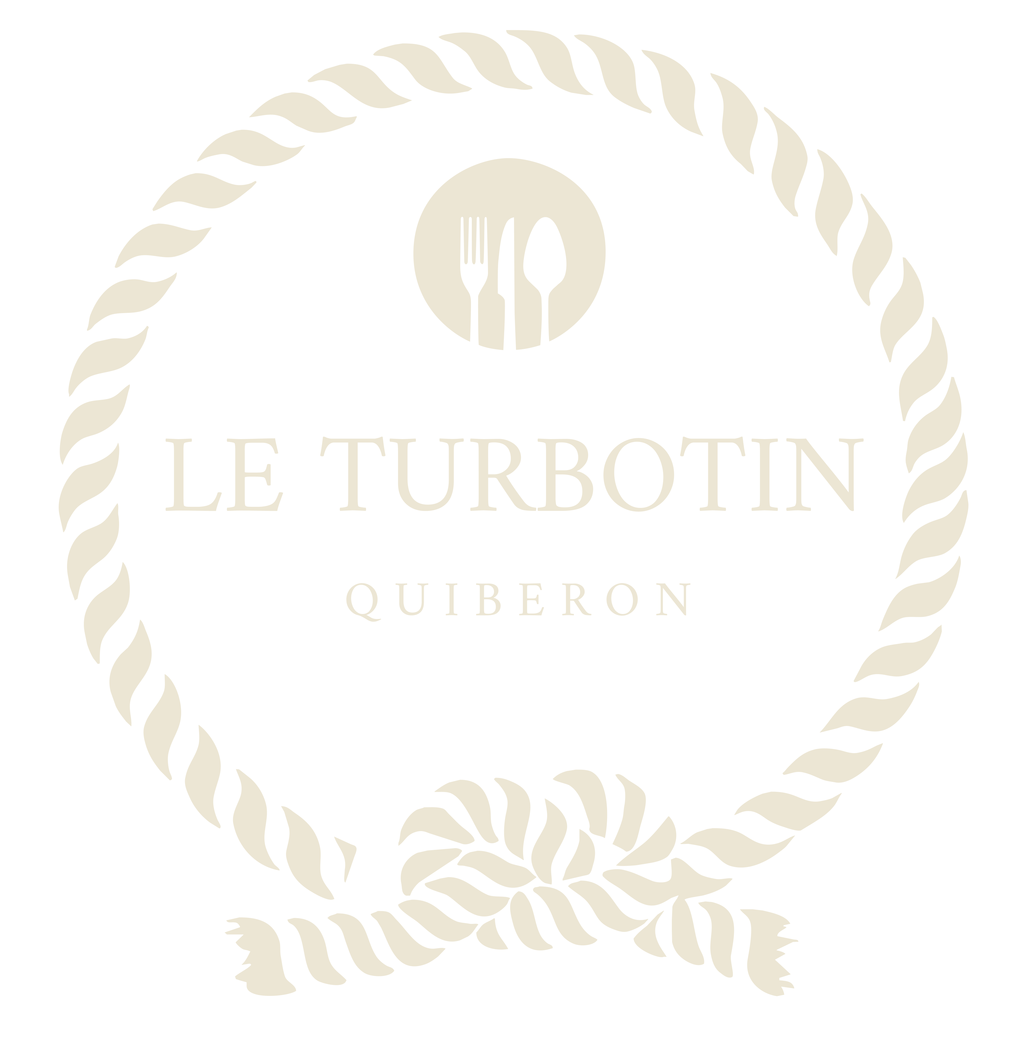 logo turbotin